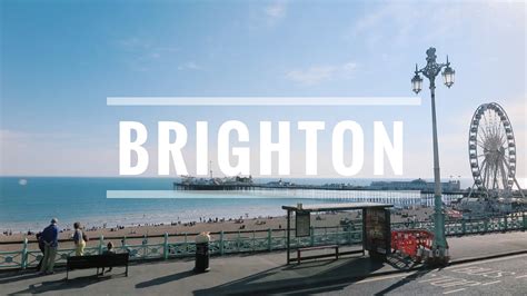 Journey into the Unknown: Brighton's Magical Cuta